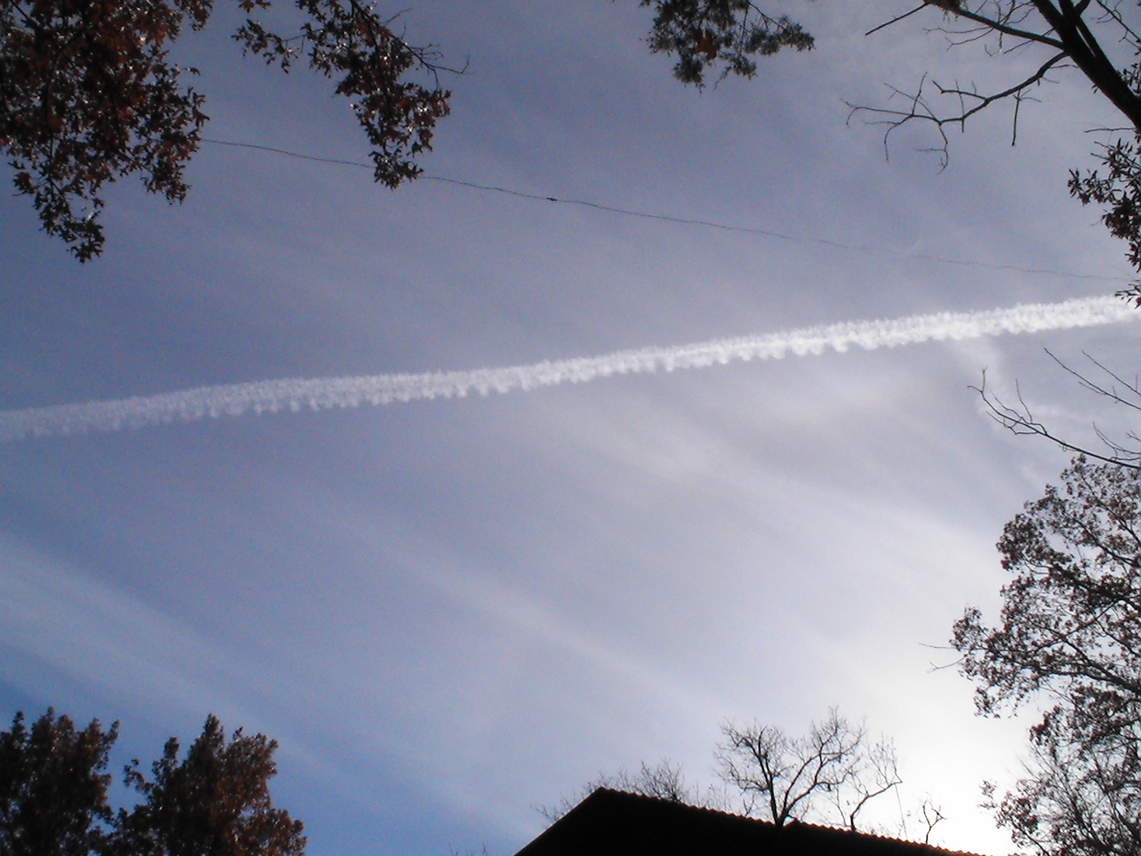 Sprayed Shit Sky