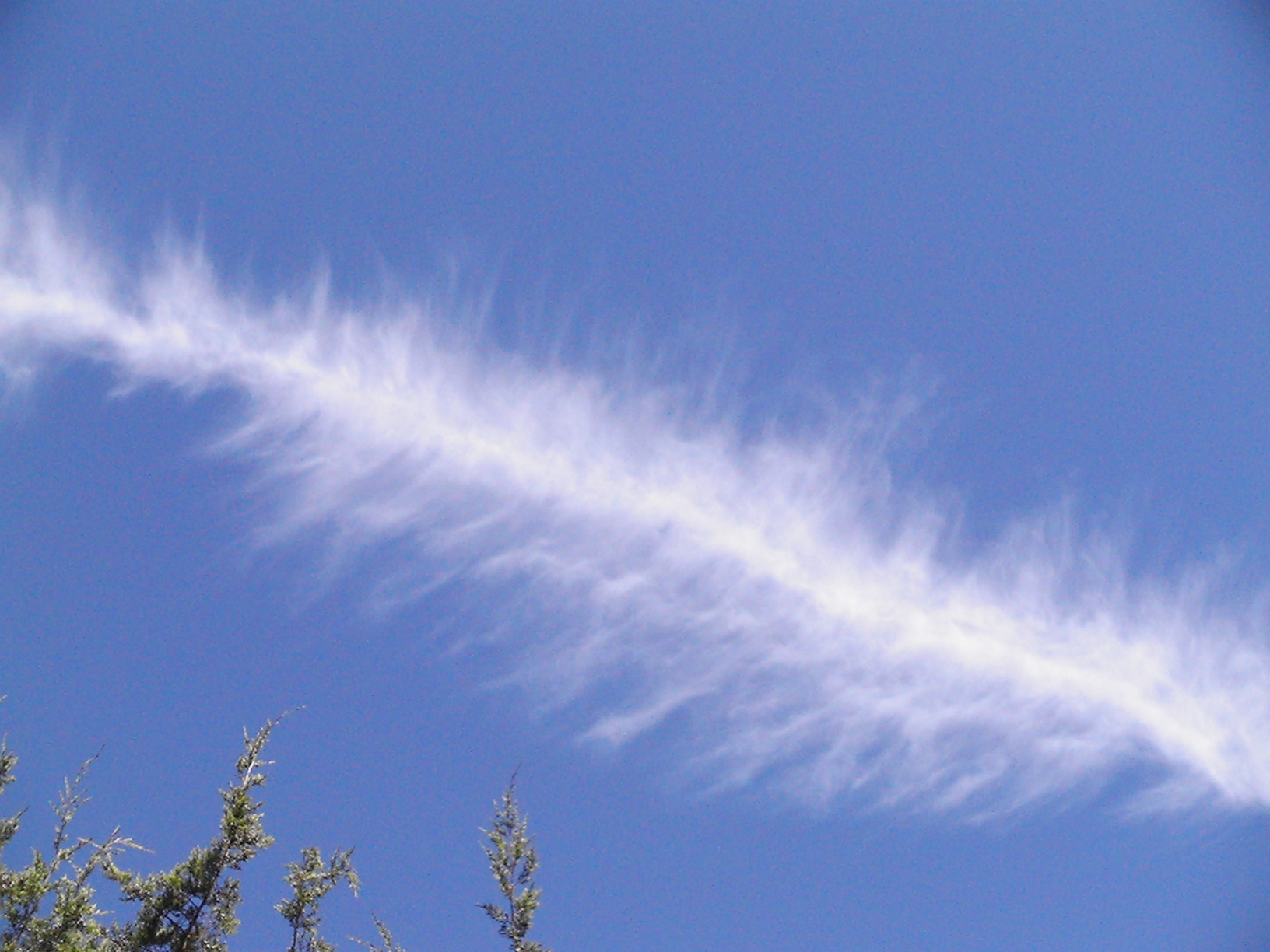 Chem Death Cloud