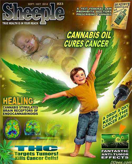 CANNABIS IS REAL MEDICINE